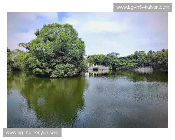 绿影拂过梅江水：当江南的韧性遇见客家的血性